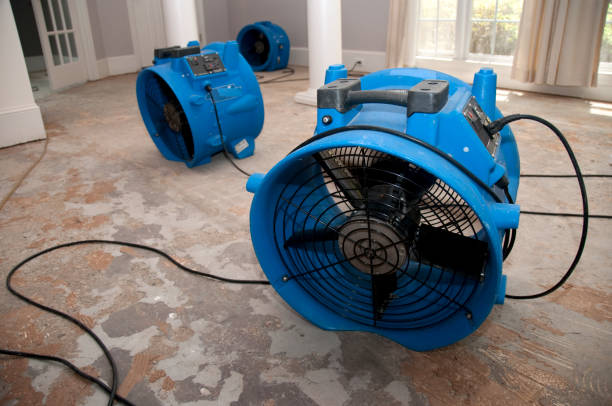 Best Water damage restoration near me  in South Hooksett, NH
